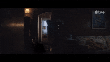 Apple Tv 60S GIF by Alma Har'el