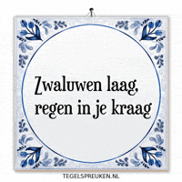 Humor Nl GIF by Tegelspreuken.nl