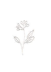 Flower Boho Sticker