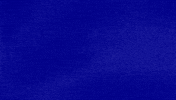 Look What The Cat Dragged In GIF by Jeopardy!