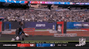 Nfl Pro Bowl Football GIF by NFL