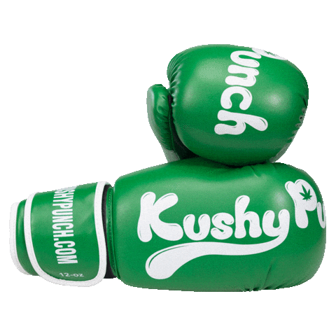 Colors Boxing Sticker by Exclusive Brands