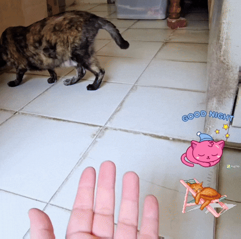 體驗｜不藏私！貓旅館也愛用的貓砂品牌開箱【貓後苑 CatGa