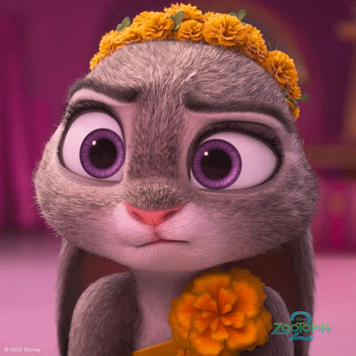 What Happened Bunny GIF by Walt Disney Animation Studios