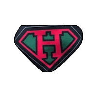 Champions Irish Sticker by Ashling Daly
