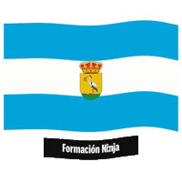 Bandera Andalucia Sticker by Formación Ninja