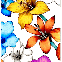 Effects Tropical Flowers Sticker by TresorsDuMonde.ca