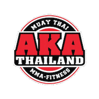 The Rock Fight Sticker by AKA Thailand