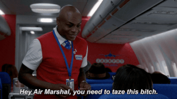 la to vegas comedy GIF by Fox TV