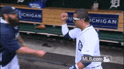 detroit tigers baseball GIF by MLB
