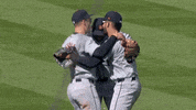 Detroit Tigers Win GIF by Bally Sports Detroit