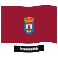 Region De Murcia Flag Sticker by Formación Ninja