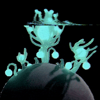 transitionalforms agence transitional forms transformsai ai film GIF