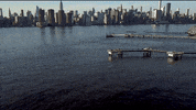 New York City Nyc GIF by Womenwhodrone