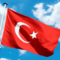 Turkey Turkish GIF by TRT