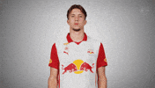 Change Rotate GIF by FC Red Bull Salzburg