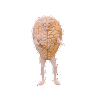 Sticker Yes Sticker by Mobile Premier League