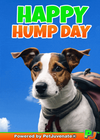 Henlo Hooman Fren GIF by PetJuvenate - PJ