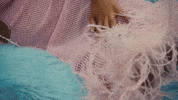 Softly GIF by Amber Mark