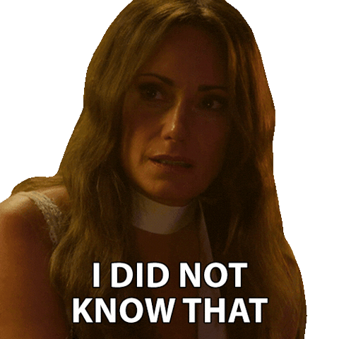 I Understand Sticker by NETFLIX