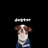 Dogtormilo  GIF
