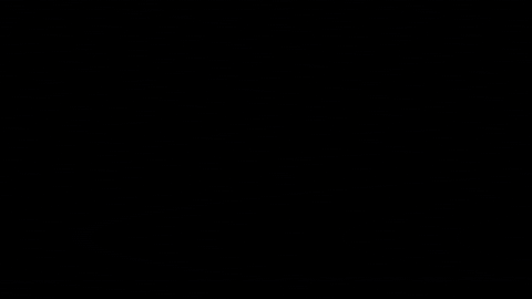 Bison Hayes GIF by NDSU Athletics