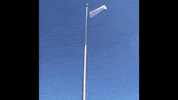 nyc flag GIF by Knockdown Center