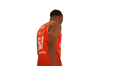 Sport Basketball Sticker by Basket_fi