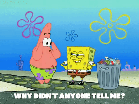 season 8 episode 3 GIF by SpongeBob SquarePants