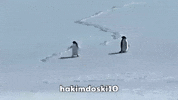 I Cant You Can GIF