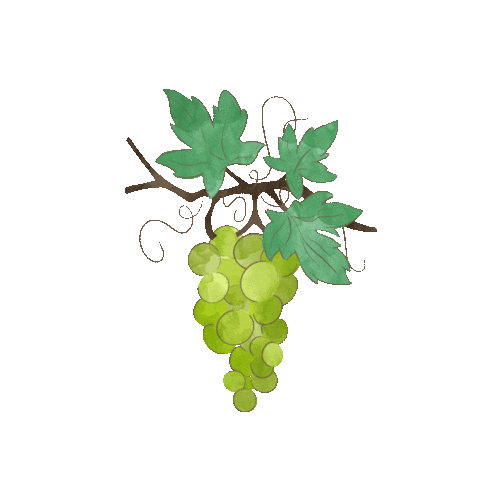 Wine Vine Sticker by Agricamper