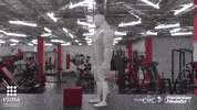 ecolescreatives  GIF