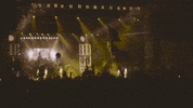 GIF by MAJOR LAZER