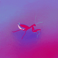 Illustration Loop GIF by GORA