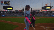 Philadelphia Phillies Sport GIF by MLB