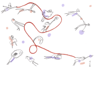 GIF by Serge Bloch