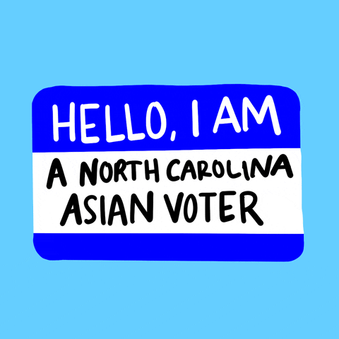 Voting North Carolina GIF by #GoVote