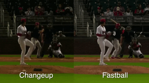 tesstass giphyupload GIF