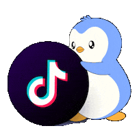 Tik Tok Video Sticker by Pudgy Penguins