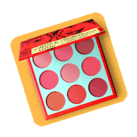 Blush Palette Sticker by Snoe Beauty