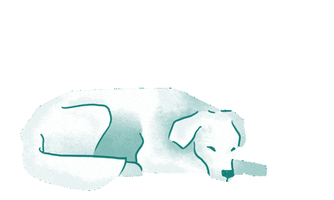 Hund Sticker by HelloBello Frischfutter