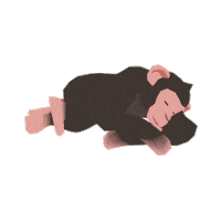 Chimpanzee Forester Sticker