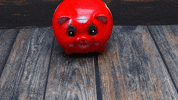 Pig Egg GIF by Cookingfunny