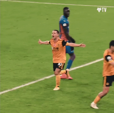 Premier League Football GIF by Wolves