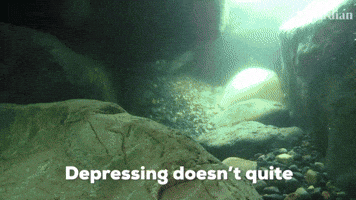 Depressing Doesn't Quite Cover It