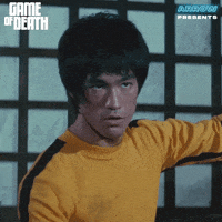 Martial Arts Film GIF by Arrow Video