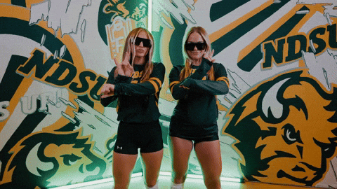 Volleyball Bison GIF by NDSU Athletics