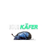 Käfer Sticker by Bloomwell