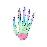 revmed hands study bones medicine Sticker