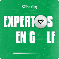 GIF by The Back 9 Golf